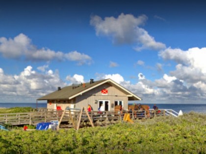 Фото: L.A. SYLT